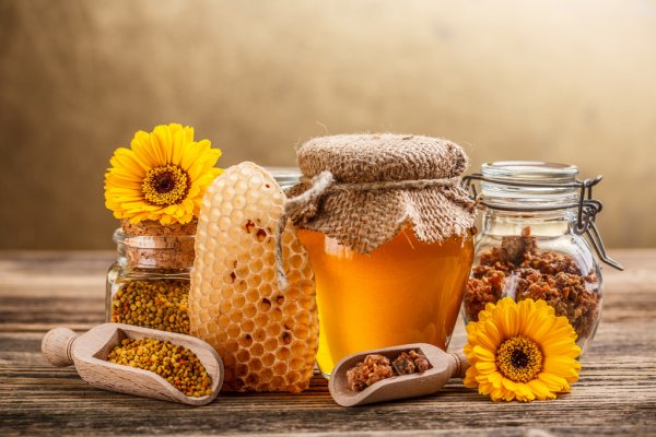 Солодке життя: корисні властивості меду