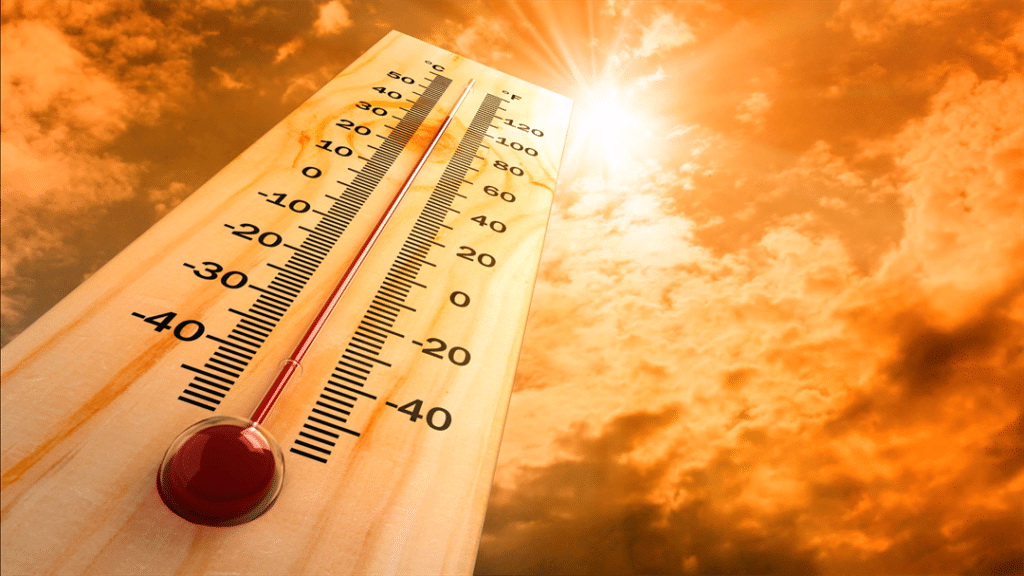Как вести себя во время жары: 10 основных правил поведения