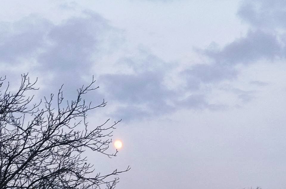 Прогноз погоди в Україні на 2 квітня 2026 року