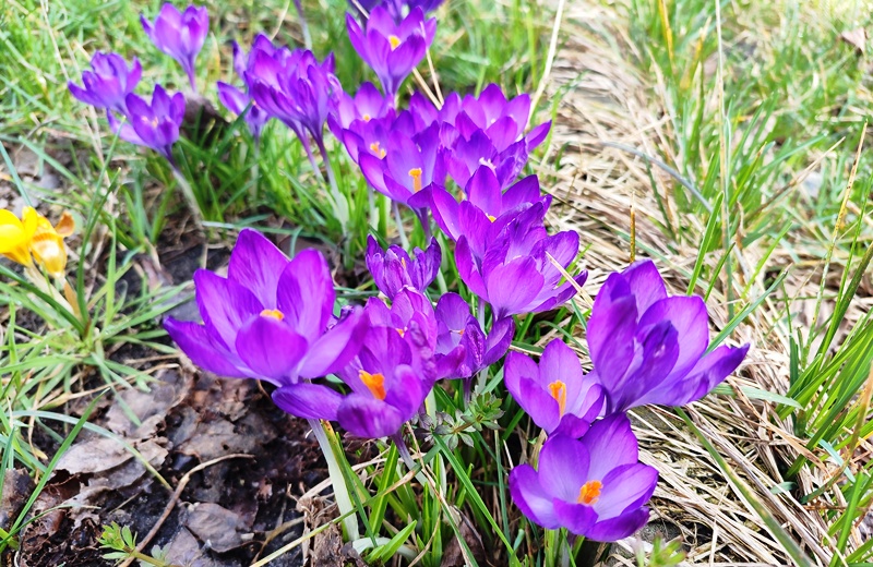 Прогноз погоды в Украине на 3 апреля 2026 года.